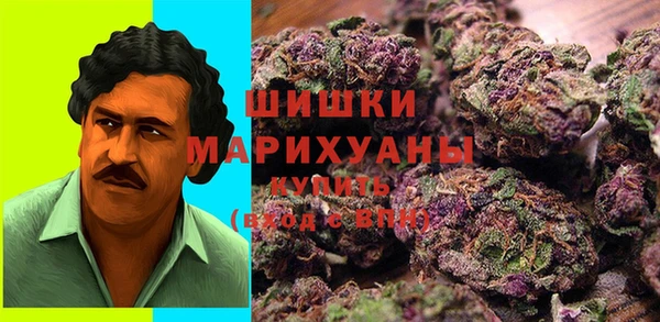дживик Пересвет