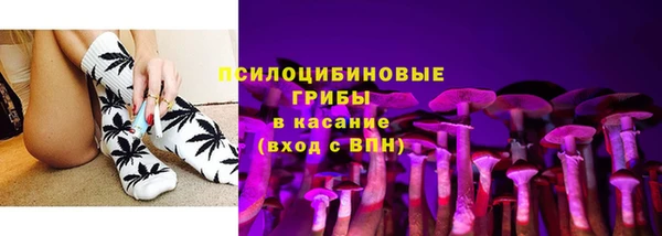 ПСИЛОЦИБИНОВЫЕ ГРИБЫ Осинники