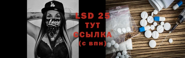дживик Пересвет