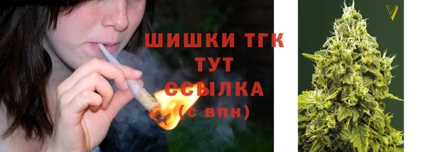 ГАЛЛЮЦИНОГЕННЫЕ ГРИБЫ Покровск