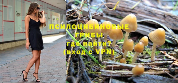 ГАЛЛЮЦИНОГЕННЫЕ ГРИБЫ Покровск