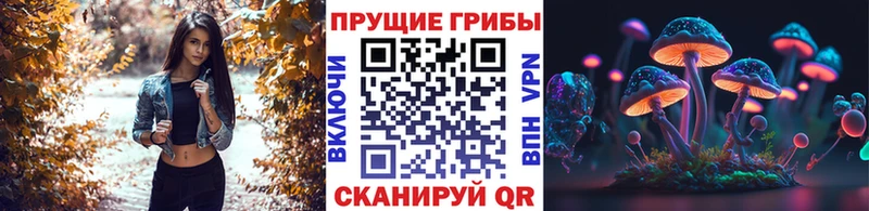 Псилоцибиновые грибы MAGIC MUSHROOMS  Киселёвск 